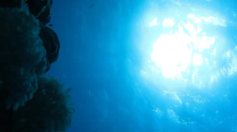 Sun view from under water and coral reef Stock Footage 37238224