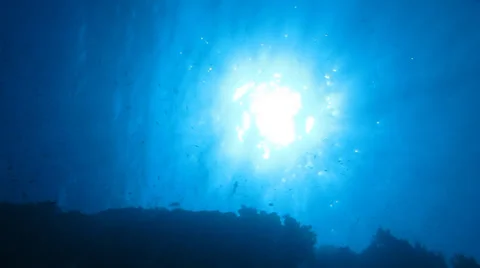 Sun view from under water Video stock 36996314