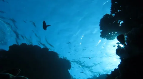 Sun view from under water Stock Footage 36996325