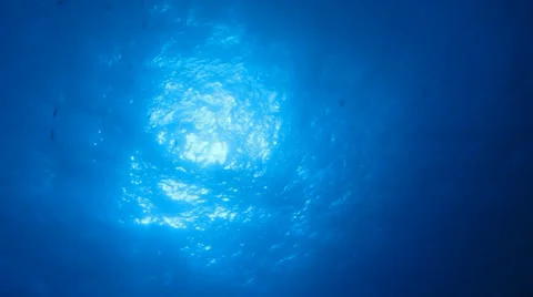 Sun view from under water Stock Footage 37000145