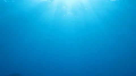 Sun view from under water Stock Footage 37042730