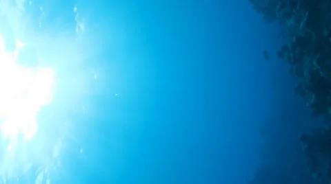 Sun view from under water Stock Footage 37042753