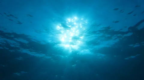 Sun view from under water Video stock 37042784