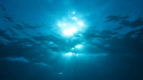 Sun view from under water Stock-Footage 37042805