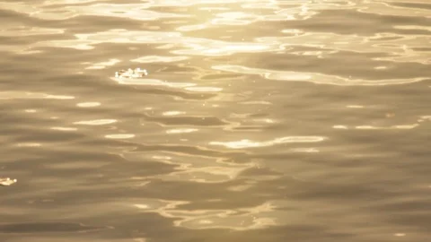 Sun on the water Stock Footage 97072521