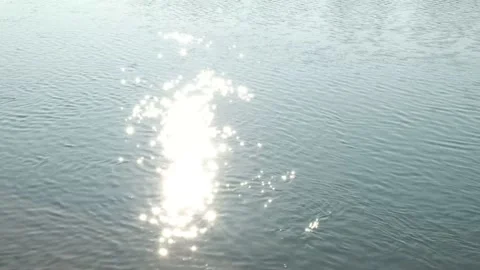 Sun in the water Stockbeeldmateriaal 169079223