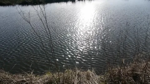 Sun on water Stock Footage 313528153