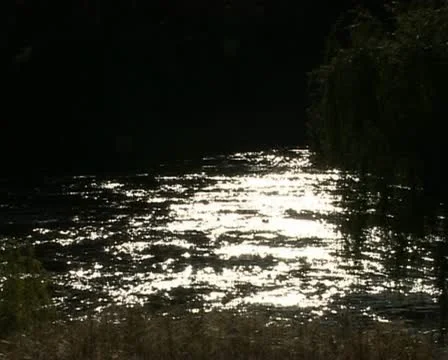 Sun water reflection moody river, Murray river Australia Stock-Footage 21455055