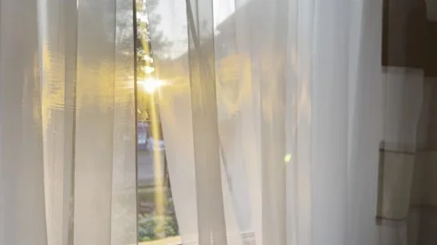 Sun. Window. Sunny day. Nature. Poland Stock Footage 224846539
