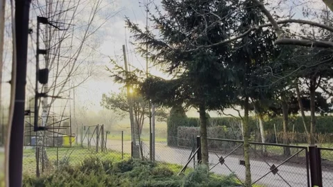 Sun. Window. Sunny day. Nature. Poland Video stock 224847217