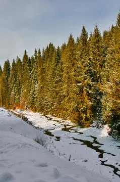 Sun winter river Stock Photos