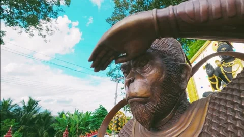 Sun wukong face Stock Footage 340874526