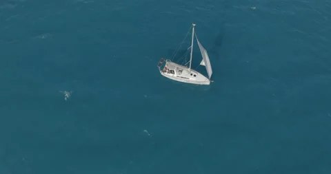 Sun yachts with white sails in open sea aerial. Sailing seascape at summer sunny Video stock 151534566