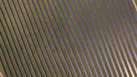 Sun_Electrical_Plant_Solar_Panel 스톡 동영상 105547113