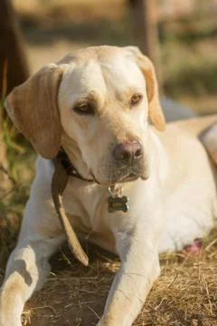 Sunbath time Stock-Fotos