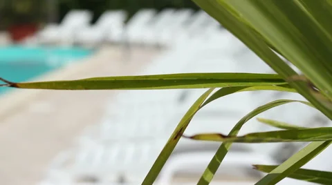 Sunbathe Pool Lounge Stock Footage 51016594