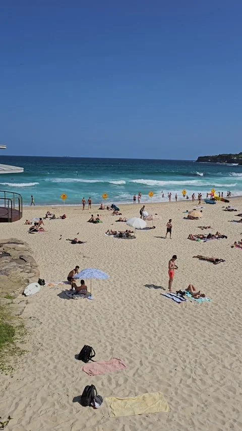 Sunbathers on sandy beach and surf, Australia Vertical 4K Stock Footage 348255029