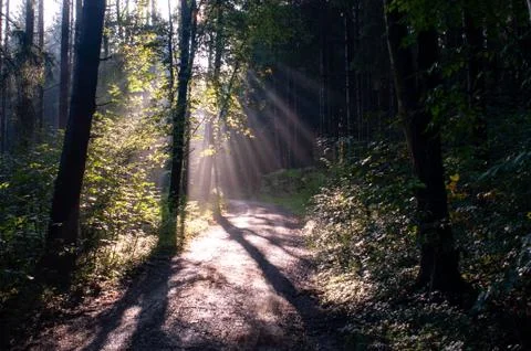Sunbeam after the thunderstorm Stock Photos