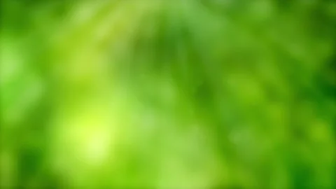 Sunbeam and bokeh light animation 動画素材 273047260