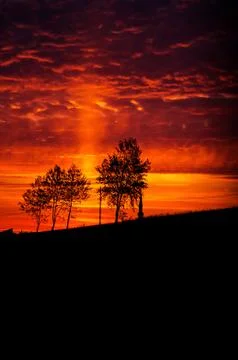 Sunbeam Stock Photos