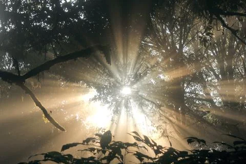 Sunbeam Foto stock