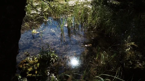 Sunbeam reflected in mountain lake with grass slider 50 fps 库存影片 96102061