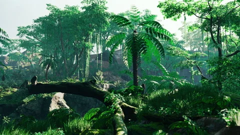 Sunbeam shine through the green forest Stock Footage 233200339