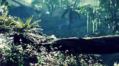 Sunbeam shine through the green forest Stock-Illustration