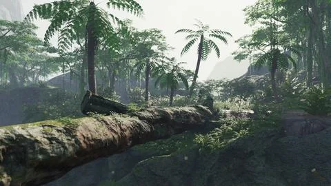 Sunbeam shine through the green forest Stock-Illustration