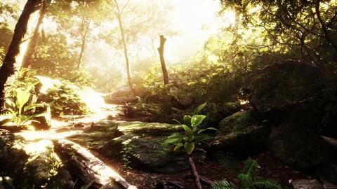 Sunbeam shine through the green forest Stock Illustration