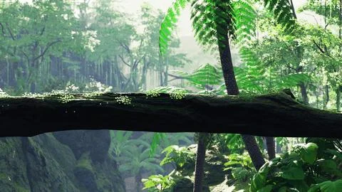 Sunbeam shine through the green forest Stock-Illustration