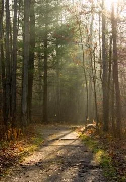 Sunbeam trail Stock Photos