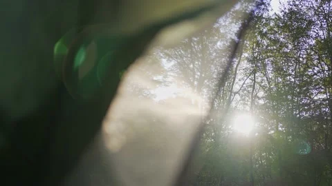 Sunbeam, view from inside the tent in the forest. Active rest, campground Vídeos de archivo 164527779
