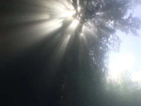 Sunbeams above Stock Footage 98503197