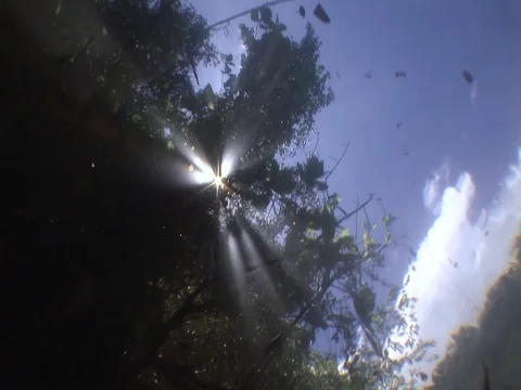 Sunbeams above Stock Footage 98503297
