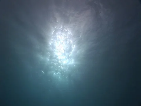 Sunbeams above Video stock 98503336