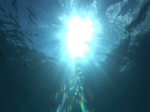 Sunbeams above Stock Footage 98503379