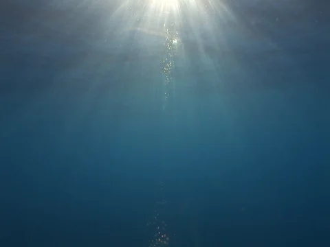 Sunbeams above Stock Footage 98503642