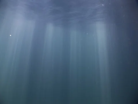Sunbeams and distant Jellyfish 스톡 동영상 98470278