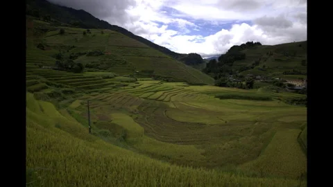 Sunbeams and Moving Light Cones Over Rice Terraces Stock Footage 345722741