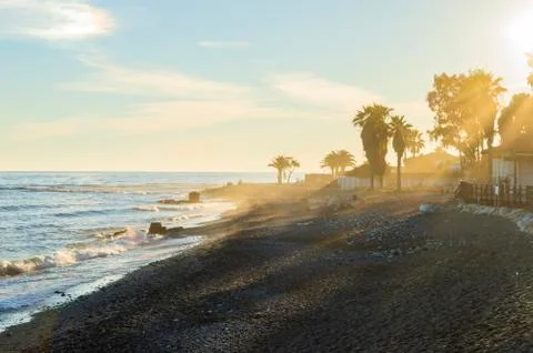 Sunbeams on the beach between palm trees Stock Photos