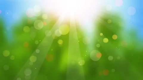 Sunbeams on blurry background seamless loop 4k (4096x2304) Stock Footage 58865667