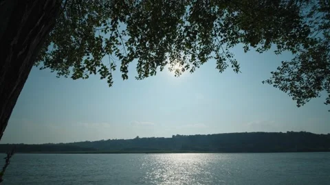 Sunbeams burst through green tree branches over a glittering wide river Stock Footage 339630446
