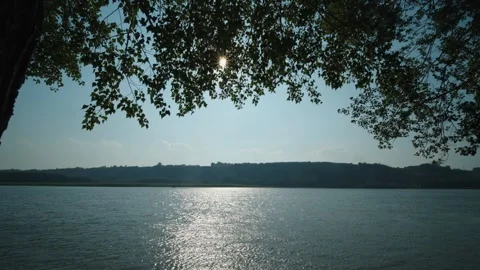 Sunbeams burst through green tree branches over a glittering wide river Stock Footage 339630498