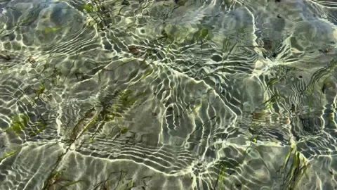 Sunbeams create ripples on the water this is the low tide in the Pacific Ocean Stock Footage 203835503