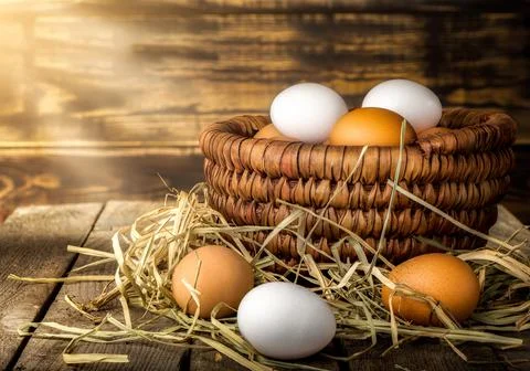 Sunbeams on eggs Stock Photos