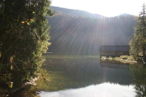 Sunbeams fall on calm pond Stock Photos
