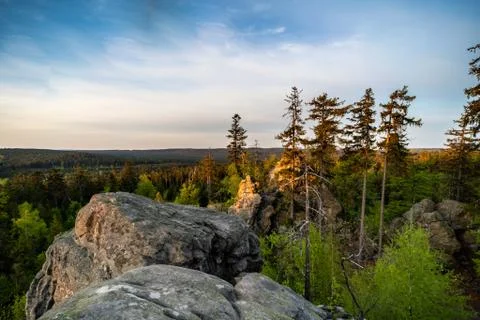 Sunbeams falling on rocks and forest at sunrise Stock Photos