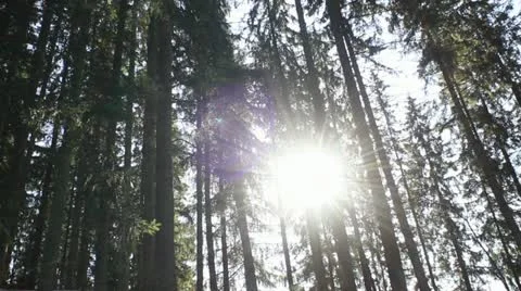 Sunbeams Stock Footage 22025097