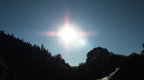 Sunbeams forming cross behind dove flying in ultra-slow motion across frame Stock Footage 59527143